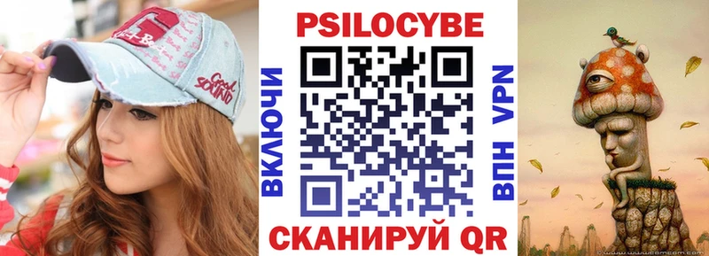 Псилоцибиновые грибы Cubensis  kraken зеркало  Покров  купить  сайты 